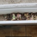 범곡휴먼시아 이미지