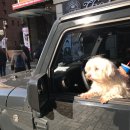 동황파크 | 기승전결이 부재한 일기