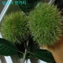 우암정사 티스토리