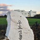제주 우도 숙소 독채펜션 일출 일몰 감성숙소 슬기로운 우도생활 후기