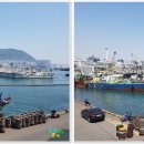 충무동 해안시장 이미지