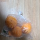 풀하우스홈케어침대매트리스소파청소