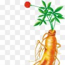 용신에너지 이미지