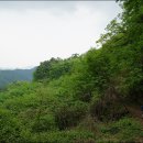 애막골 등산로 입구 이미지