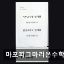 피그마리온수학
