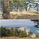 영4리 해수욕장 이미지