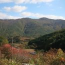 소호마을 이미지