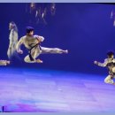 대호 영빈태권도 이미지