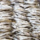 지족어촌체험휴양마을 이미지