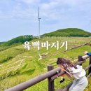 평창세차장 | 강원도 가볼만한곳 평창 육백마지기 청옥산 전망대 차박 명소 ft.세차전에 가보자