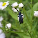 반디공원 이미지