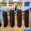 마임하임카페