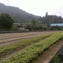 정산영농조합법인 이미지