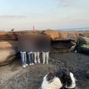 산과 바다사이 이미지