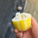 스카이농장 이미지