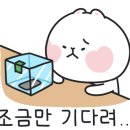 달콤노리터