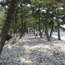 모사금해수욕장 이미지