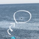 제주/한경] 노을과 해안도로를 즐길 수 있는 제주도전기자전거 “노을해안 1014 전기바이크” 이용...