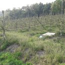 충주 행복한 농장 이미지