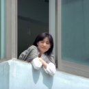 봄안에 이미지
