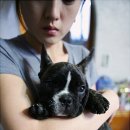 쏘냐쥬니어 Daum카페
