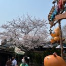 (주)이꼬르 이미지