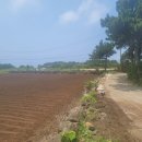 우도공인중개사사무소 이미지