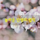 화요일 이미지