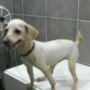 토곡동물병원 이미지