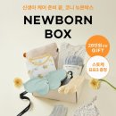 뉴본