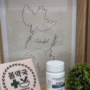 봄약국 앞 이미지