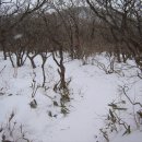 덕유산이야기 이미지