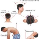 웅촌제일의원 이미지