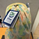 인형랜드 | 미국 디즈니랜드 한정판! 귀여운 디즈니 얼룩말 인형 후기