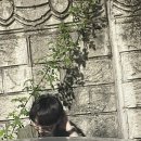 양평 가볼만한 곳 수목원 카페 내추럴가든529 후기 추천 내돈내산