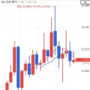 애플여행사(투어) 이미지