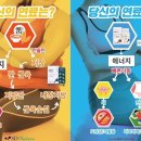 에스디컨설팅 이미지