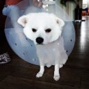 형곡동물병원 이미지