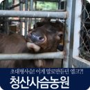 청산사슴농원 이미지
