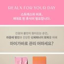 라포즈미 이미지