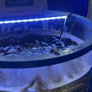 바다이야기2 | 평택대 맛집 바다이야기ㅣ가성비 좋은 횟집 방문후기