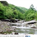 서동계곡 상류 이미지