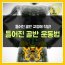 확 틀어진 골반운동법 이미지