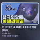 춘자네엄니밥줘 | 2월 중간 정산/유디트 일상o(ˊo̶̶̷ᴗo̶̶̷`)o♬❤︎/듀오링고100일달성