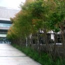 조경디자인린주 이미지