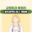 김앤김치과의원 | 광주광역시 동구 계림동 교정치과 총정리