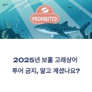 보홀 고래상어 투어 금지? 대체 코스 해나팩 추천