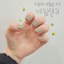 수원-0902 | [수원역]수원네일잘하는곳 | 데일리네일 후기 "네일셀유"