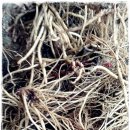 지푸라기농장 이미지