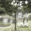 고성사방댐 이미지